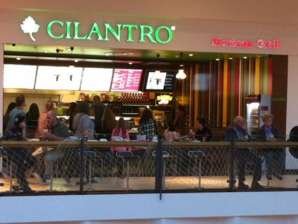 Foto: Cilantro